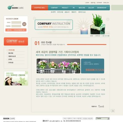 女性護理設計網(wǎng)頁與網(wǎng)站模板 關鍵要素與視覺策略