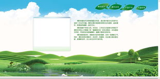 企業(yè)產(chǎn)品網(wǎng)站設(shè)計(jì)制作 打造高效轉(zhuǎn)化的數(shù)字門面