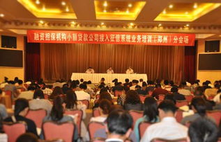 鄭州融資性擔保機構助力小微企業(yè)融資 政策支持與市場前景分析